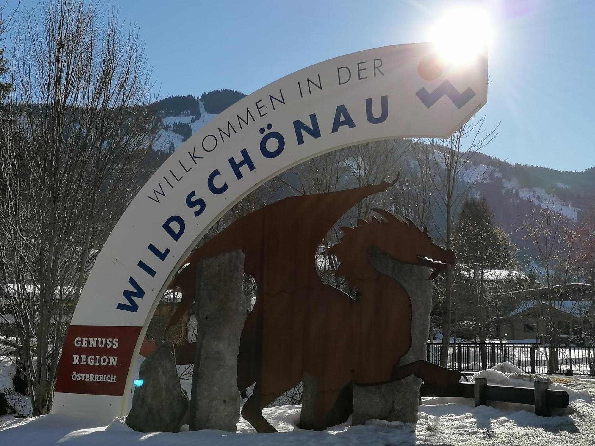 Schoners Einfanghof By Fewo-Planwild006 Niederau Exterior foto